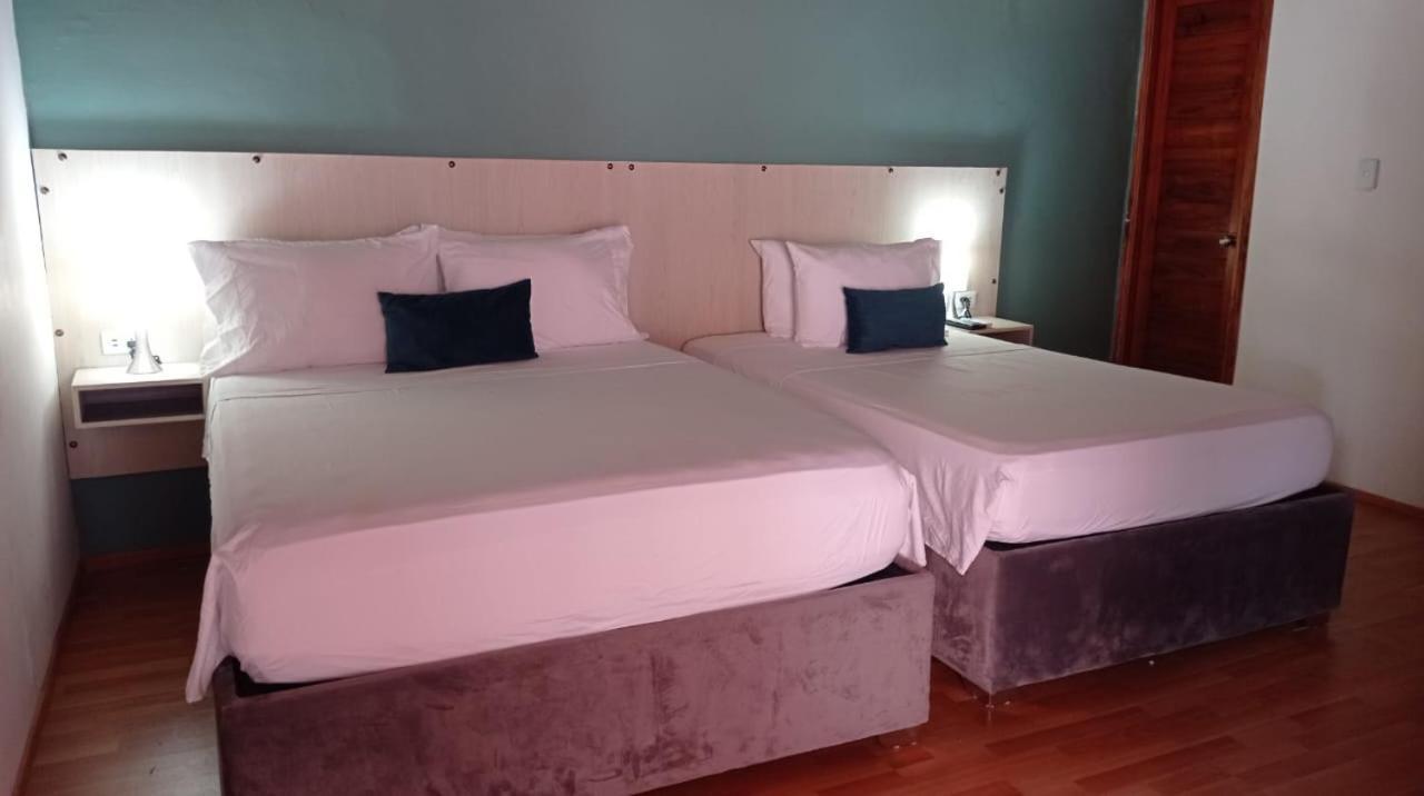 Casaalma Getsemani
